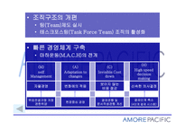 태평양 화장품 화장품산업의 현황 경쟁사 분석-17