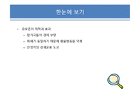 국제금융의 이해 유로존과 환율 및 국제금융거래-4