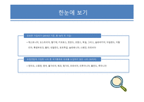 국제금융의 이해 유로존과 환율 및 국제금융거래-6