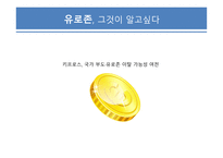 국제금융의 이해 유로존과 환율 및 국제금융거래-9