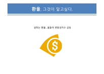 국제금융의 이해 유로존과 환율 및 국제금융거래-18