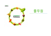 풀무원 기업소개 미국 시장 진출 배경중국시장 진출-1