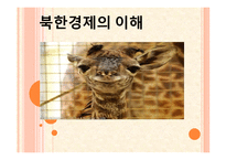 북한 경제의 이해-1