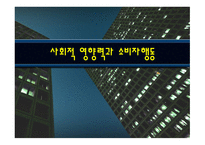 사회적 영향력과 소비자 행동-1