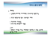 자율경영학교교육과 문화-8