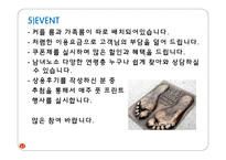 THE FOOT SHOP사업계획서-12