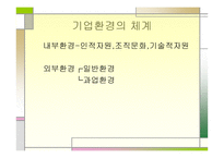 기업 환경론 개론-4