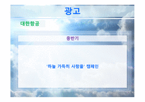 대한항공과 아시아나항공 마케팅 비교분석 보고서-15