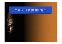 문제의 규명 및 필요 정보-1