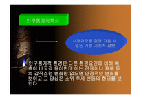 문제의 규명 및 필요 정보-15