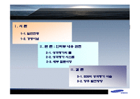 삼성 SDS성과평가보고서-1