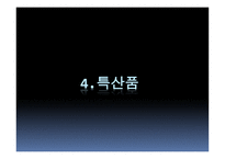 관광지리 자원론 남해의 관광도시 여수-19