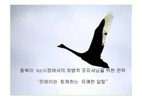 진에어 마케팅 전략-2