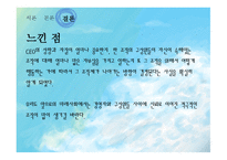 사우스웨스트 항공사 소개-14