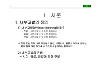 내부고발의 문제점과 개선방안-2