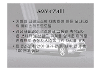 소나타 조사보고서-11