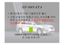 소나타 조사보고서-13