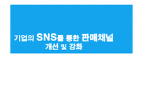 기업의 SNS를 통한 판매채널 개선 및 강화-1