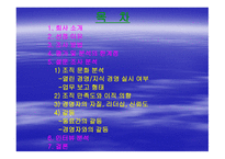 조직과 인간 갈등 분석-2