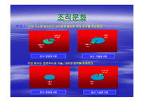 조직과 인간 갈등 분석-11