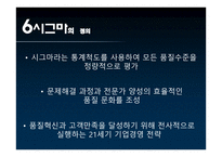 신한은행 식스시그마 성공사례-4