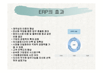 삼성 SDI의 ERP 성공사례-6