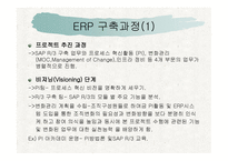 삼성 SDI의 ERP 성공사례-10