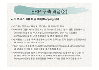 삼성 SDI의 ERP 성공사례-11
