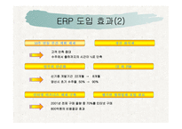 삼성 SDI의 ERP 성공사례-15