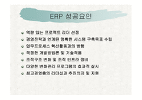 삼성 SDI의 ERP 성공사례-17