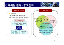 경영전략 사업계획서 여행 다움-9