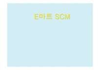 E마트 SCM 레포트-1