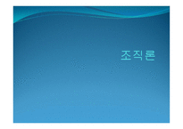 조직론 레포트-1