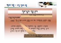 정보의 흐름 레포트-17