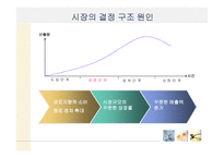 향수 시장조사 시장구조와 기업 행동-8
