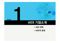 The AES Corporation기업 및 인력소개-3
