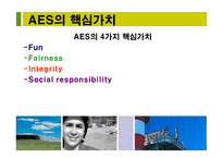 The AES Corporation기업 및 인력소개-8