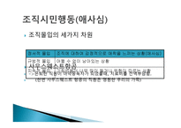 사우스웨스트 항공 SOUTHWESTairline-12