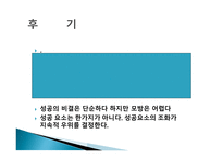 사우스웨스트 항공 SOUTHWESTairline-16