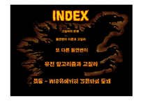 돌연변이 이론에 의한 고질라 분석-1