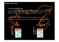 돌연변이 이론에 의한 고질라 분석-5