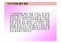 절세 방안 보고서-11