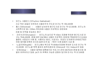 항공사 경영분석 질적 경영분석-20