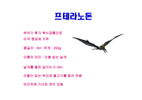 공룡의 멸종 레포트-12