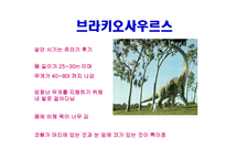 공룡의 멸종 레포트-17