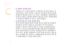 영철버거 마케팅 전략-6
