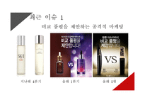 미샤의 전략적 분석 및 지속성장을 위한 마케팅 제언-4