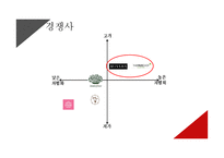 미샤의 전략적 분석 및 지속성장을 위한 마케팅 제언-11