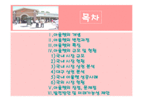 아웃렛 현황 및 문제점 방안 제시-2