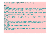 아웃렛 현황 및 문제점 방안 제시-9